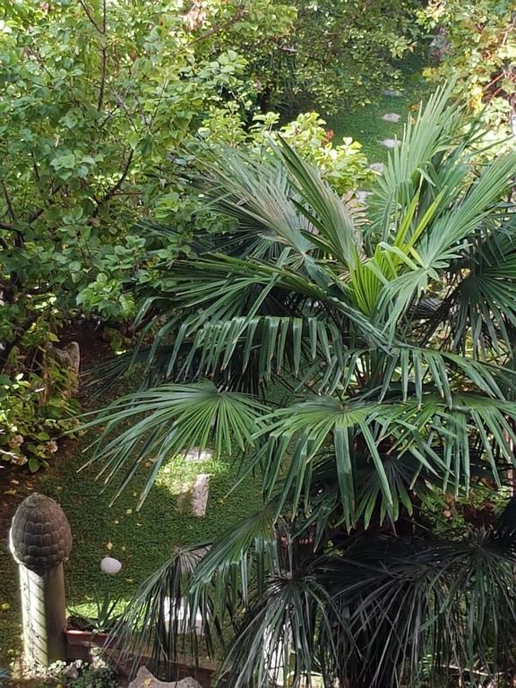 Appartamento Garden Ca' Rezzonico Venise Extérieur photo