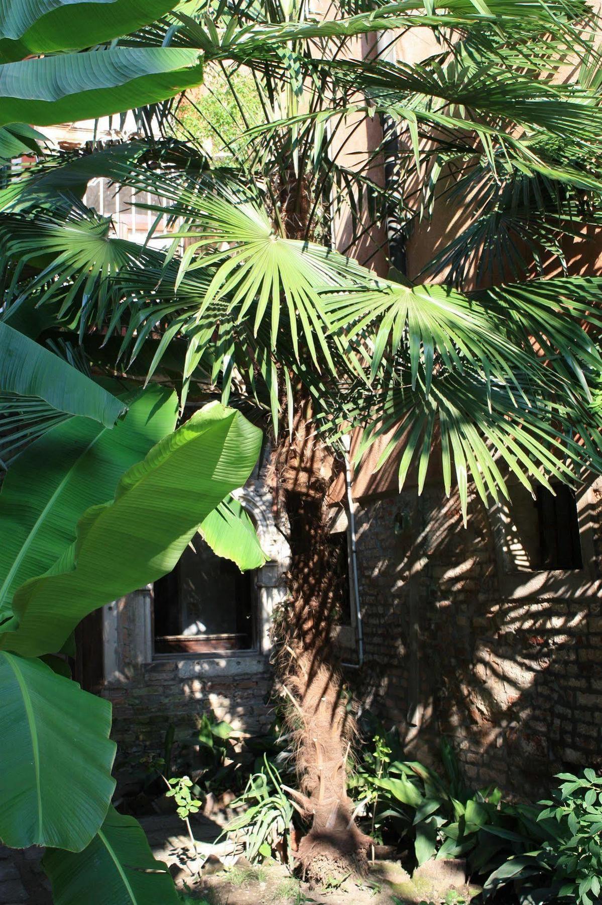 Appartamento Garden Ca' Rezzonico Venise Extérieur photo